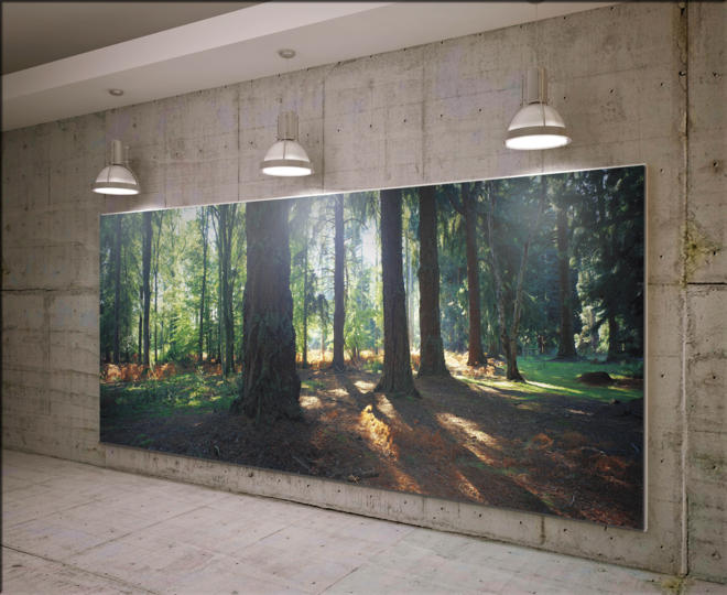 Richard Osbourne photographic murals NEW FOREST 3x9m - Tektura ...