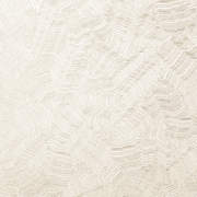 Ammonite AMM 2136 - Tektura Wallcoverings